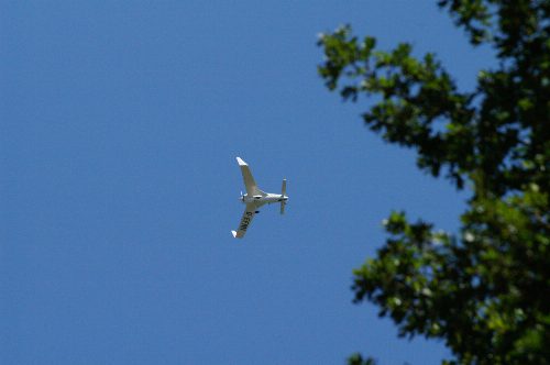 Mustang Open, Bild 229
