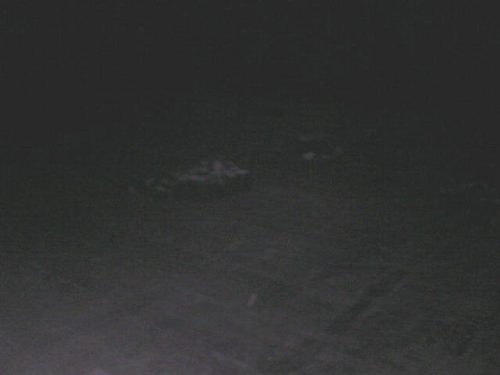 Boden entfernen, Bild 97
