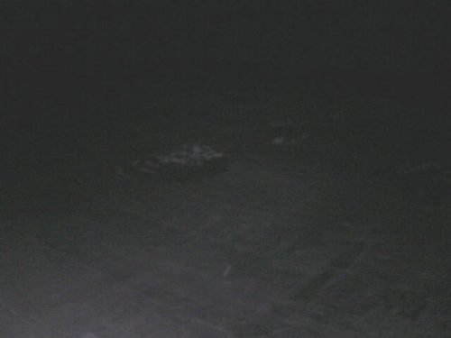 Boden entfernen, Bild 105