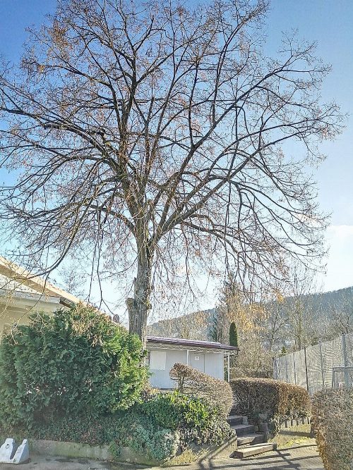 Umbau und Erneuerung Snitärbereich, Bild 19