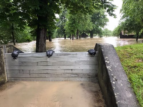Hochwasser, Bild 2