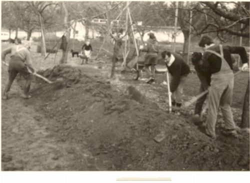 1970, Bild 6