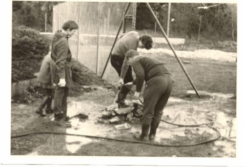 1970, Bild 12